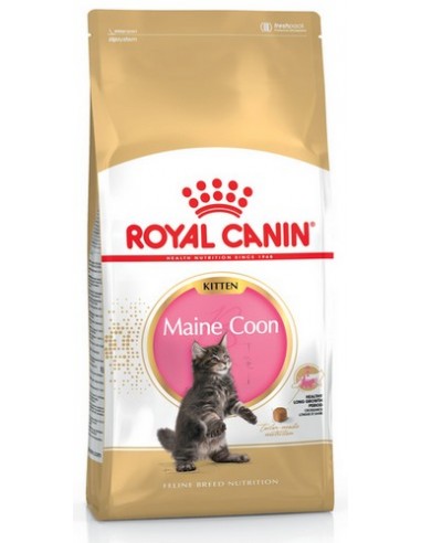 Royal Canin Maine Coon Kitten karma...