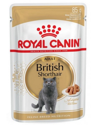 Royal Canin British Shorthair karma...