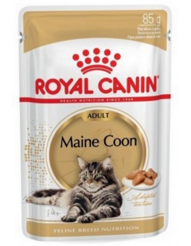 Royal Canin Maine Coon karma mokra w...