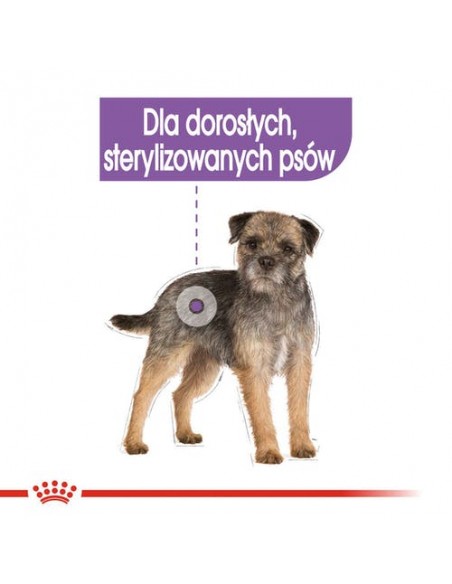 Royal Canin Sterilised karma mokra dla psów dorosłych, wszystkich ras po sterylizacji, pasztet saszetka 85g