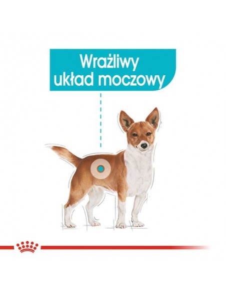 Royal Canin Urinary Care karma mokra dla psów dorosłych, wszystkich ras, wspierająca układ moczowy, pasztet saszetka 85g