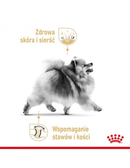 Royal Canin Pomeranian Adult karma mokra dla psów dorosłych rasy szpic miniaturowy, pasztet saszetka 85g