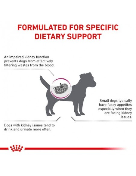 Royal Canin Veterinary Diet Canine Renal Small Dog 3,5kg