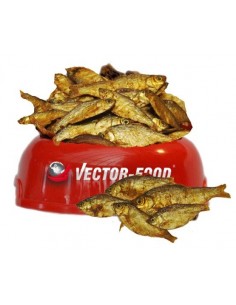 Vector-Food Suszona rybka...