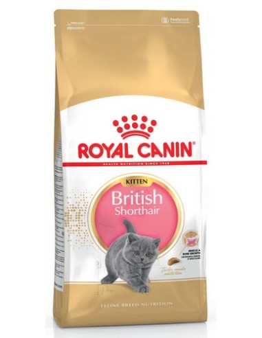 Royal Canin British Shorthair Kitten...
